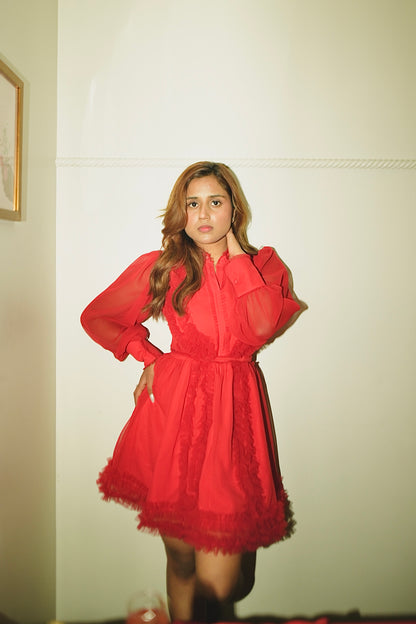 Crimson Crush Dress